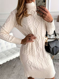 Cute Long-sleeve Knit Sweater Dress