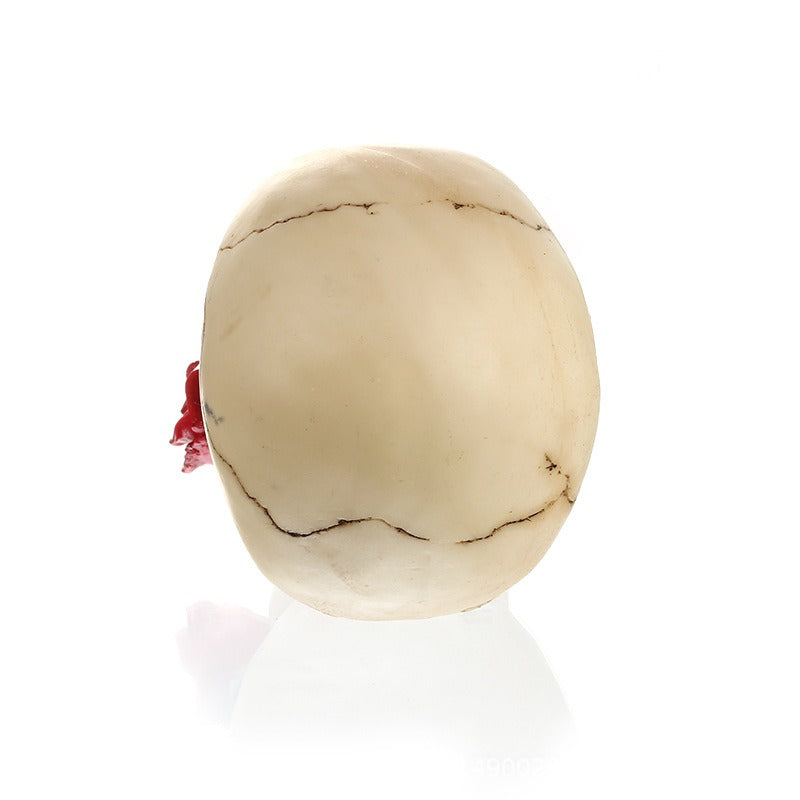 Courtship skull resin decoration